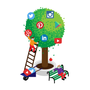 social media choices