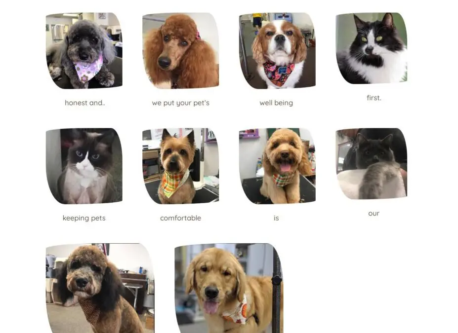 Bubbles and Bows Tacoma – Manage site & Write Blog Posts